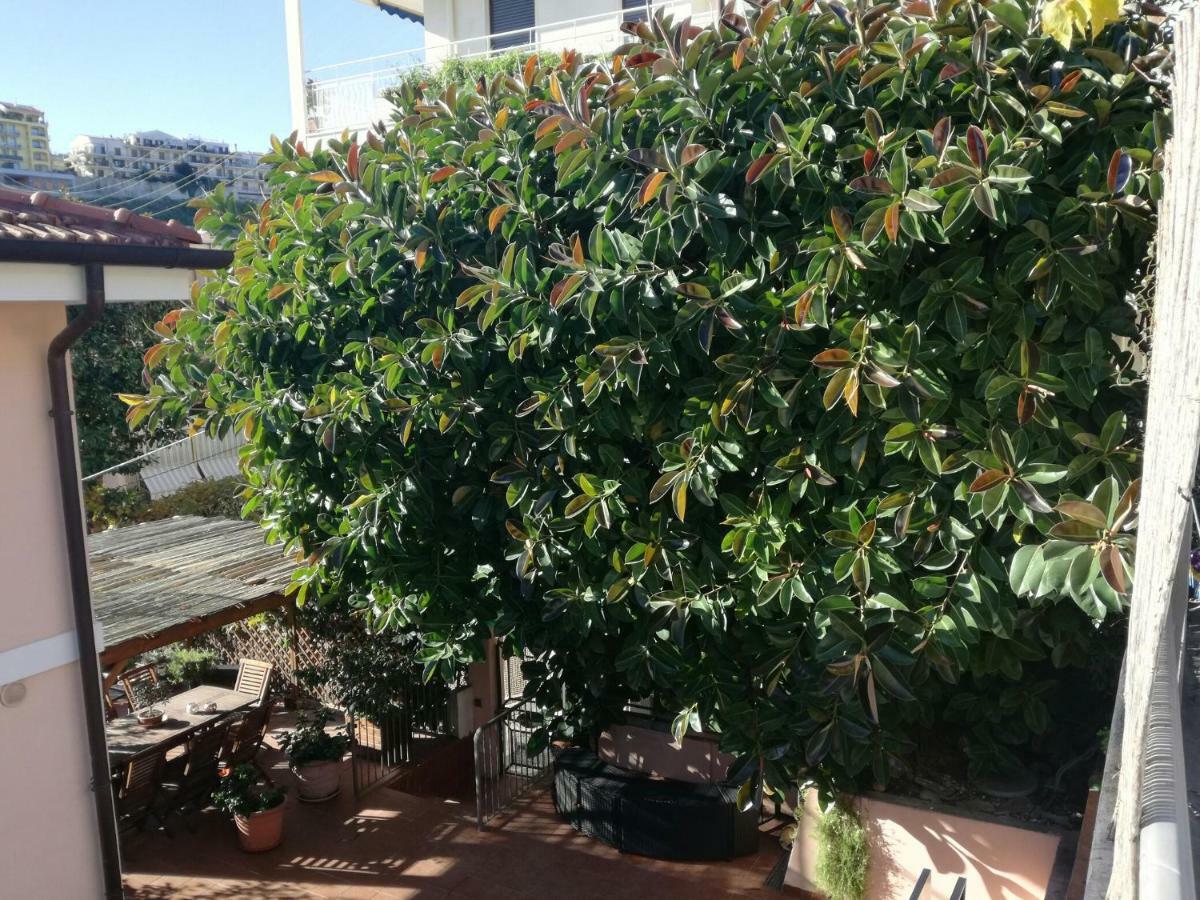 Villa Bruna B&B 산레모 외부 사진